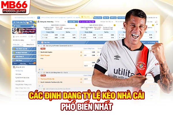 Các định dạng tỷ lệ kèo nhà cái phổ biến nhất