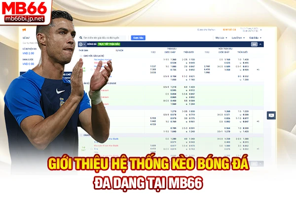Giới thiệu hệ thống kèo bóng đá đa dạng tại MB66