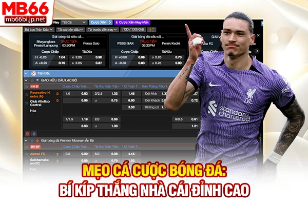 Mẹo Cá Cược Bóng Đá: Bí Kíp Thắng Nhà Cái Đỉnh Cao